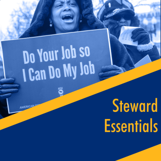 Steward Essentials Training